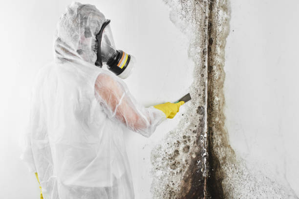 Best Crawl Space Mold Removal  in Malabar, FL