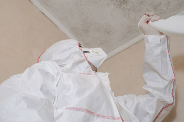 Office Mold Removal Services in Malabar, FL